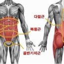 디와이코어 네이버블로그