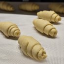 패스타임(이랜드월드) | 애슐리 퀸즈 월드푸드 페스타<애슐리 퀸즈 화정점>주말 외식~♡