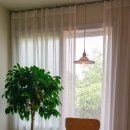 강아지정류장 이미지