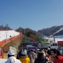 스타벅스비발디파크점 이미지