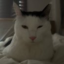 리즈동물병원 | 가을은 왜이리 짧은 걸까..