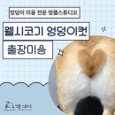 멍클스튜디오 이미지