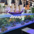 단짠아쿠아플레이 | 김제 단짠아쿠아 후기 I 전주 근교 실내체험 전주 먹이체험