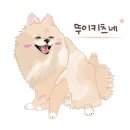블럭팡팡 구미점 이미지