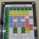 잉글리쉬 벨리댄스 이미지