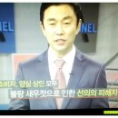 심청청국장 네이버블로그