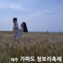 제주 가파도 청보리축제 5월 배시간 예약 소요시간 자전거 맛집 후기 또 가고 싶은 곳