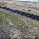 이장배농장 이미지