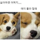 킵고잉