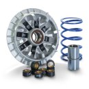 tmax 530용 POLINI HI-SPEED VARIATOR 이미지