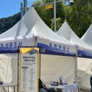 정선제1교-정선공설운동장입구 | 정선 아리랑제 ㅣ 개막날 다녀온 후기 제일 중요한 주차 꿀팁까지!