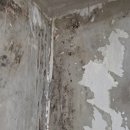 천일페인트서인천 | 인천 연수구곰팡이제거, 단열시공으로 재발까지 해결한 실제 현장 후기