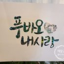 바오캘리 이미지