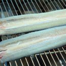 녹동민물장어 직판장 이미지