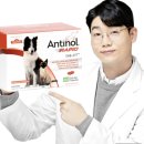 국립수의과학검역원중부 | 안티놀 래피드 240캡슐 성분, 용량 분석, 처방 1위, 15만원 값어치 있나