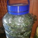 (주)비타민나무 이미지