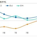 세종시는 웃고 부산은 울까 이미지