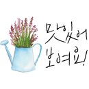 풀 식자재 마트 이미지