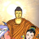 공주-34 Daum카페