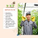 손씨농장 이미지