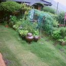 한옥과편백의 만남 이미지