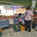 김기욱농장 이미지