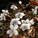 실내체육관 앞 이미지