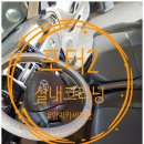 양지카세차장 이미지