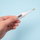 펄라이트존(ZONE) 이미지