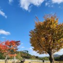 금성빌라 앞 | 담양 독채펜션 애견펜션 풀빌라 슈트라하우스 C동 101호 후기