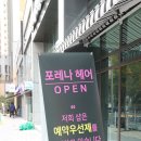 포레나 헤어