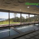 로얄카인테리어 이미지