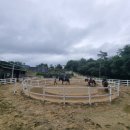 당진 승마장 이미지