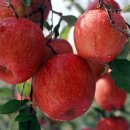 영주로1L 이미지