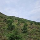 합천군산림조합 이미지