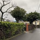 용필농장 | [제주도 서귀포올레시장/삼달리촬영지/비자림]태교여행 먹고, 보고, 즐기는 코스