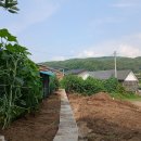 조성건설(주) - 17629 | 조성건설(주)