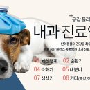 공감+동물의료센터 이미지