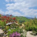 한솔펜션 이미지