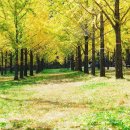 풍경힐링 이미지