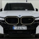 BL모터스 이미지