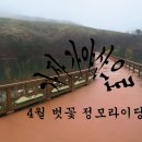 4월12일 가야산 주변으로 벗꽃 구경 갑니다. 이미지