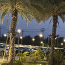 오천수족관 | 오키나와 북부 숙소 추천, 츄라우미수족관 근처 리조트 세소코힐튼 호텔 리조트