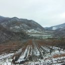 장기 산골농장 이미지