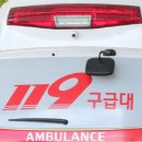 119 이데일리