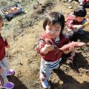 윤가네 농장 이미지