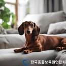 동물보육원 천안지부 | 천안 다가동 애견호텔 동물보육원 천안지부 비용 시간 위치