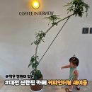 대전 신탄진 카페 커피인터뷰 새여울 작은 정원 있어