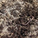 대견농장 이미지