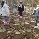 지리산 유아숲체험원 이미지